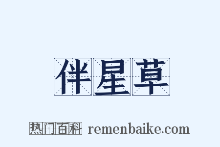 伴星草是什么意思的图片